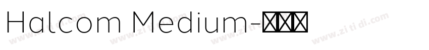 Halcom Medium字体转换